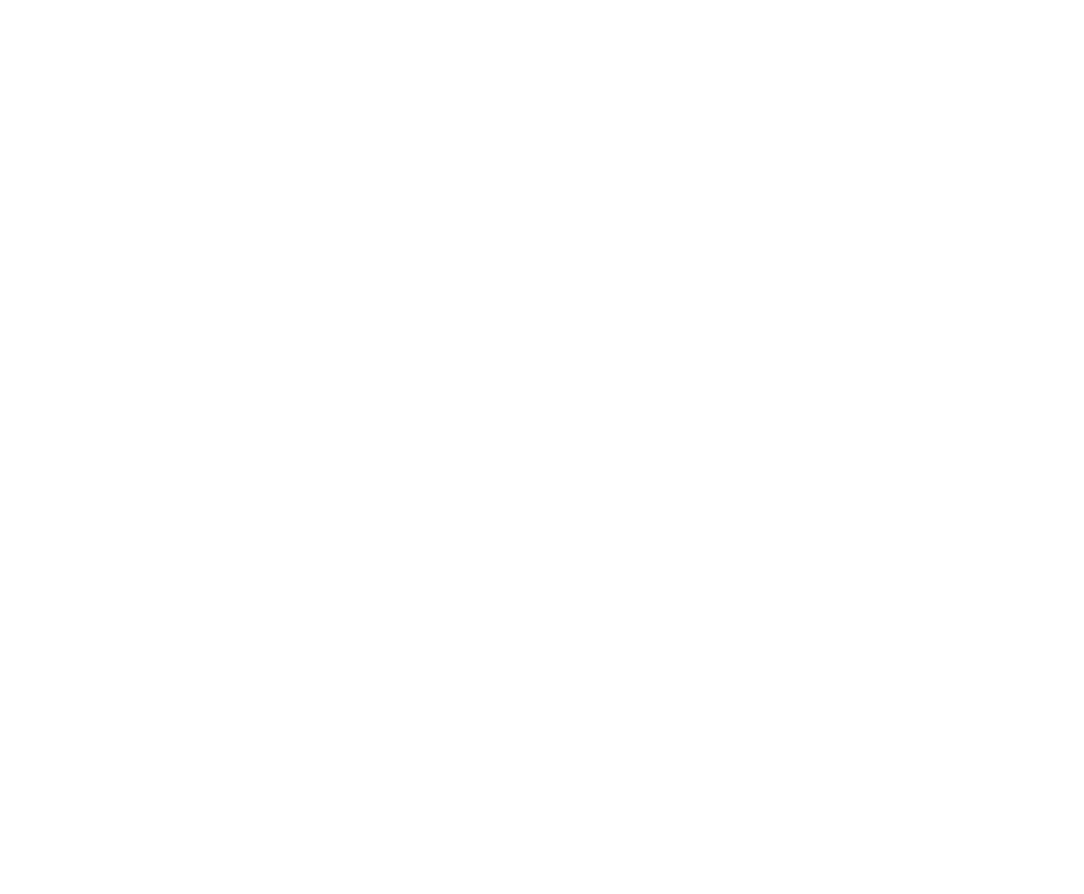 Eagle Flight logo
